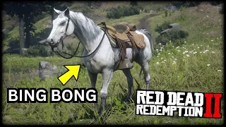 Cowboy Shenanigans  |  Red Dead Online Random Moments (Random Missions, Bing Bong)