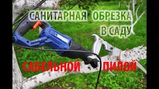 Обрезка деревьев сабельной пилой. Обзор сабельной пилы.