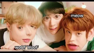 TXT Cat & Dog MV Teaser On Crack