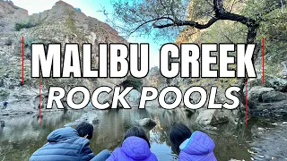 Hiking at Malibu Creek Rock Pools | The Ceric Family
