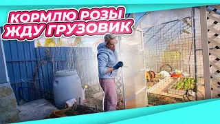 ДАЧНЫЙ ВЛОГ | СТАРТ ДЛЯ РОЗ подкормка и обрезка | ГРУЗОВИК ПОЛЕЗНОГО ЗА 6 тыс. | КОРОЛЕВА ДЕКОРА