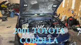 Toyota Corolla | problemas de encendido