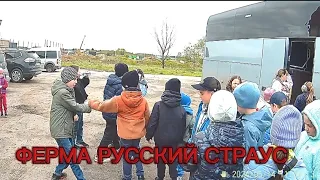 Поездка на ферму РУССКИЙ СТРАУС