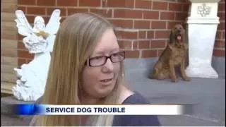 "Woman Refused Clinics Due To Service Dog" – CityNews, September 5 2016