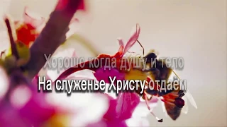 Песня "Хорошо" Анжелика Вишня