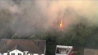 Massive brush fire out after burning close to Pasco County homes