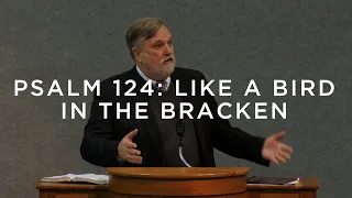 Psalm 124: Like a Bird in the Bracken | Douglas Wilson