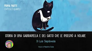 CAPITOLO 4 - Storia di una gabbianella e del gatto che le insegnò a volare - Luis Sepùlveda