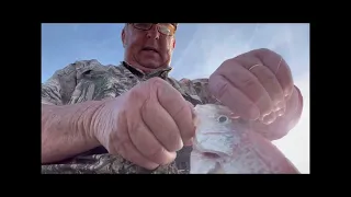 Crappie on livescope ! Pre-spawn  #garmin #livescope #louisiana #fishing