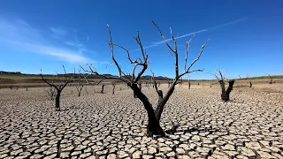 Rekordhitze und Trinkwassernot - Extreme Dürre in Spanien wird zur Naturkatastrophe