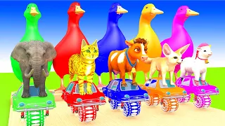 5 Giant Duck, Monkey, Piglet, chicken, bear, cat, cow, Sheep, Transfiguration funny animal 2023