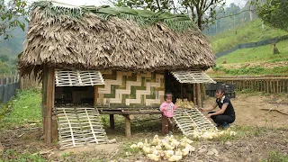 Building a Duck House From Bamboo, Animal Care, Mountain Life | EP. 41