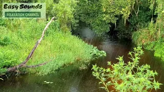 Rain and THUNDER ambience on a SCENIC River-Water flowing and Rain Falling Soothes and Calms