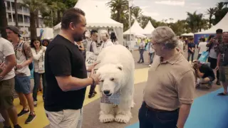 Polar Bear in Cannes!