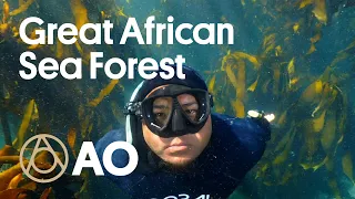 Explore South Africa’s Forest Beneath the Waves | Atlas Obscura