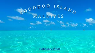 Maldives Kooddoo Island Skydive Boogie 2020
