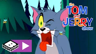 Tom und Jerry | Katze an Bord | Cartoonito