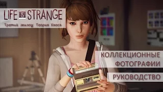 Коллекционные фотографии | Life is Strange ep. 3: Теория Хаоса [Руководство]