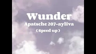 Ayliva & Apatsche 207 — Wunder (speed up)