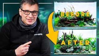 How I FIXED and REDESIGNED my Planted Tank | Aquarium Disaster TRANSFORMATION