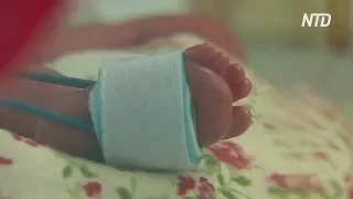 Впервые в истории Польши: краковчанка родила шестерняшек