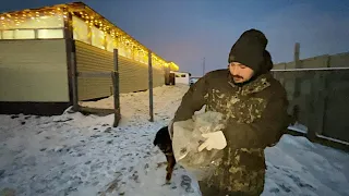 СВИНАРНИК ИЗ ЦЕЛЛОФАНА И СНЕГА! РЕШИЛА ПОРАДОВАТЬ МУЖА! НАША ФЕРМА! ЖИЗНЬ ПРОСТЫХ ЛЮДЕЙ В ДЕРЕВНЕ!