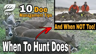 Should You EVER Hunt Does?