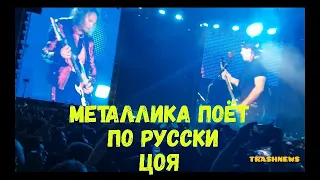 Группа Metallica на концерте в «Лужниках» спела песню Виктора Цоя «Группа крови».