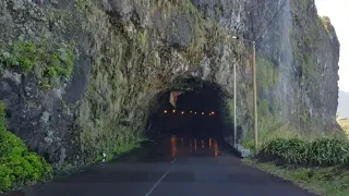 Madeira island, Portugal. Остров Мадейра, Португалия.