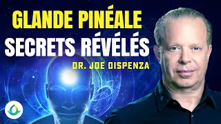 Dr Joe Dispenza - Pineal Gland & Quantum Field (Secrets Revealed)