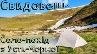 Свидовець - соло-похід нестандартним маршрутом з Усть-Чорної | Карпати, Червень 2023