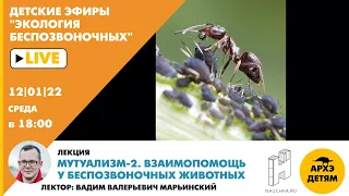 Лекция Вадима Марьинского "Мутуализм-2. Взаимопомощь у беспозвоночных животных"