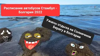 2022 Болгария Расписание автобусов от Стамбула до Солнечного Берега. Водоросли. Сколопендры. Пожар.