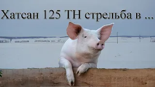 Хатсан 125 ТН огонь по свинье!!!