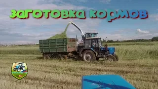 Заготовка кормов 2019г. Косим озимую рожь