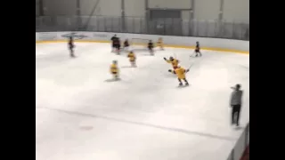 Noah Berger Goal Sweden Select vs Ottawa