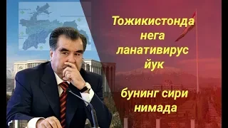 Нега Тожикистонда Ланативирус йук Бунинг сири нимада