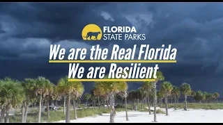 The Real Florida Recovery