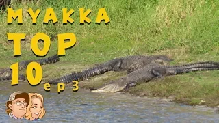 Top Ten Myakka River State Park, Sarasota FL.   (Ep.3)