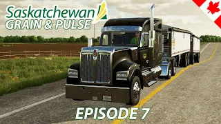 Kenworth W990 hauling for a contract & NEW FIELD! - Saskatchewan Grain & Pulse - Episode 7 - FS22