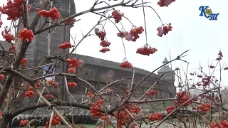 Батуринська трагедія: Вічний спомин про сутність ворога