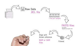 NGS data analysis, Pipelines, Bioinformatics and other jargon