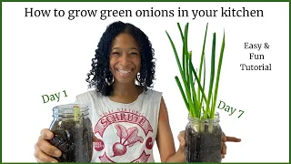 How to grow green onions in 7 days | Farm to Table