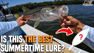 Is This The Best Summertime Lure? | Flats Class YouTube