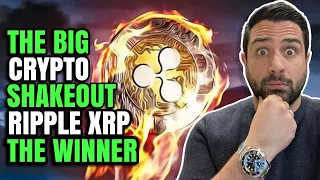 🚨 THE BIG CRYPTO SHAKEOUT | RIPPLE (XRP) IS THE WINNER | JED IS OUT OF XRP 8 DAYS VOYAGER IS A MESS