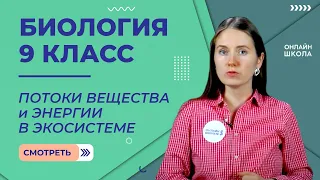 Потоки вещества и энергии в экосистеме. Продуктивность сообщества. Видеоурок 31. Биология 9 класс