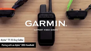 Garmin Support | Alpha® TT 25 Dog Collar | Pairing with an Alpha® 300i