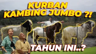 TERCENGANG... TERNYATA ADA KAMBING 1 MILYAR !! MPOK ALPA NUNJUKIN HEWAN KURBANNYA..!!