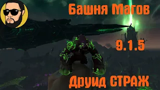 Башня Магов 9.1.5 | Друид Страж