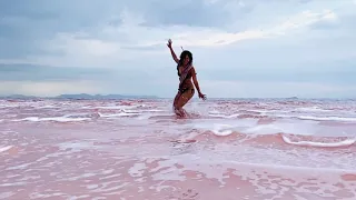 The Great Salt Pink Lake in Utah:  🎼K141 Kursk Stive Morgan